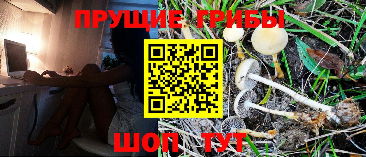 Псилоцибиновые грибы Psilocybe  Псилоцибиновые грибы мухоморы  купить закладку  Вход с VPN  Крымск 